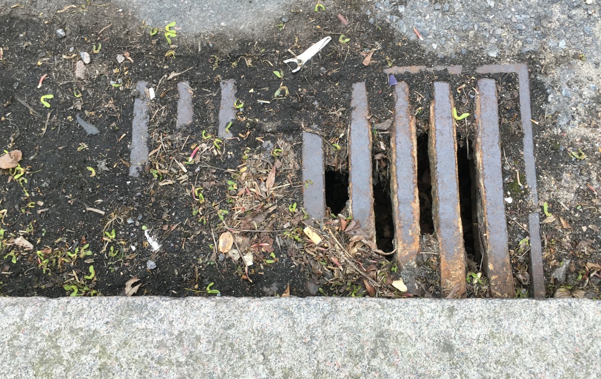 Photo of partially blocked street drain gulley